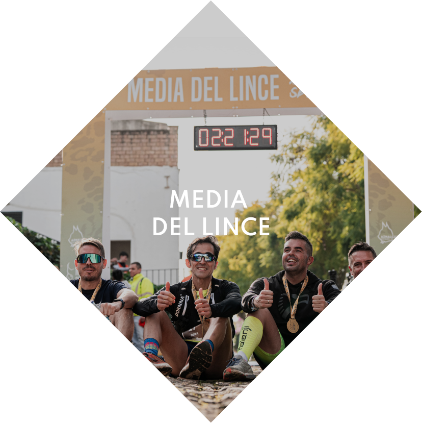 Media El Lince